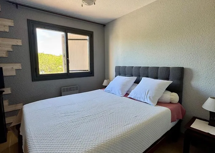 Cote Quai Du Cap D'agde - Parking - Histoire De Cles Apartment *